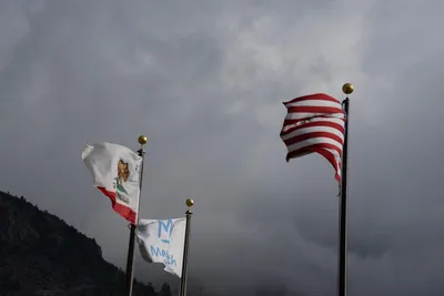 DSC_3153 (Large).JPG